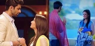 Ek Duje Ke Vaaste: Preeti and Pushkar to get married