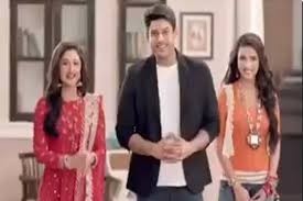 Dil Se Dil Tak update: Parth-Shavri wishes for a baby in temple