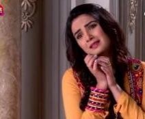 Dil Se Dil Tak: Tani attempts to break her marriage alliance with Aman
