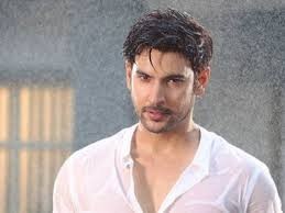 Beyhadh 2: Rudra chase Maya's shadow MJ in trouble