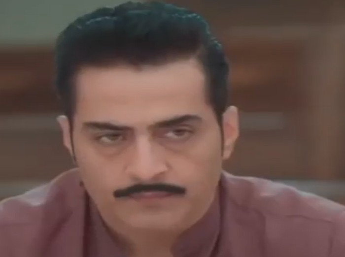 Anupama: Anupama's hitler rule make things worst for Vanraj, Kavya under Leela's guidance
