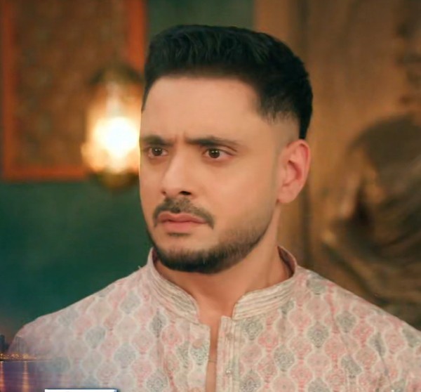 Mannat Har Khushi Paane Ki: Vikrant decides Neetu and Visakha to share love for their son