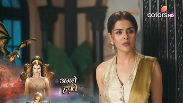 Naagin 7 15 March 2026: Ahana saves Radhika from danger with shocking reveal for Aryaman