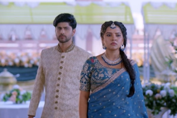 Vasudha: Dev gets jealous watching Vasudha with another man, new twist revealed
