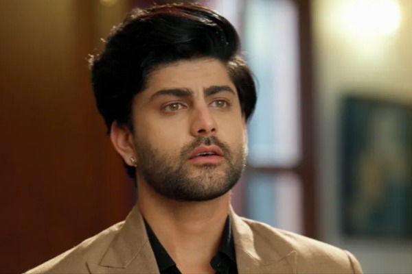 Vasudha: Dev gives a love challenge to Vasudha, Chauhan family reunite love
